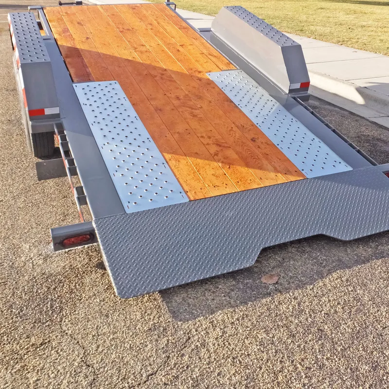 Traction Strips